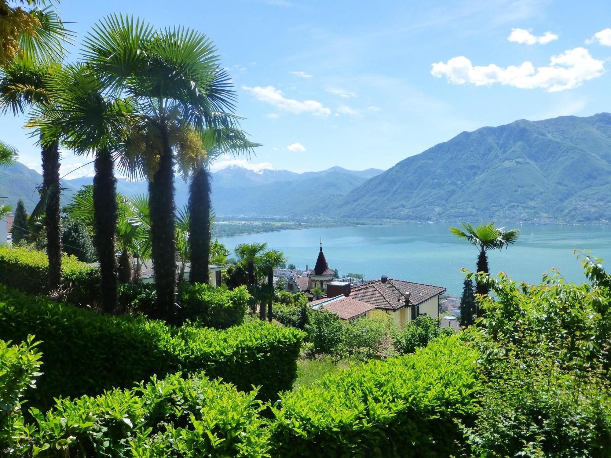 Collina D'Oro C14 By Fewotessin Orselina Exterior foto